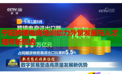 寧陽跨境電商培訓(xùn)助力外貿(mào)發(fā)展與人才培養(yǎng)新機(jī)遇