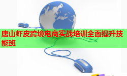 唐山蝦皮跨境電商實(shí)戰(zhàn)培訓(xùn)全面提升技能班