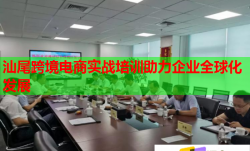 汕尾跨境電商實(shí)戰(zhàn)培訓(xùn)助力企業(yè)全球化發(fā)展