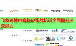 飛象跨境電商蝦皮實(shí)戰(zhàn)培訓(xùn)全面提升運(yùn)營(yíng)能力