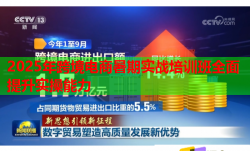 2025年跨境電商暑期實戰(zhàn)培訓(xùn)班全面提升實操能力