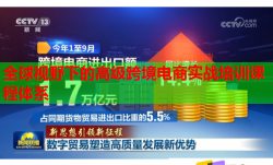 全球視野下的高級(jí)跨境電商實(shí)戰(zhàn)培訓(xùn)課程體系