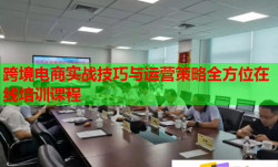 跨境電商實(shí)戰(zhàn)技巧與運(yùn)營(yíng)策略全方位在線培訓(xùn)課程