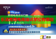 樂清跨境電商培訓(xùn)學(xué)校有哪些