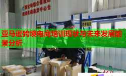亞馬遜跨境電商培訓(xùn)現(xiàn)狀與未來發(fā)展前景分析