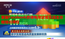 掌握Facebook跨境電商運(yùn)營(yíng)實(shí)戰(zhàn)全攻略培訓(xùn)課程