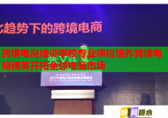 跨境電商培訓(xùn)學(xué)校專業(yè)課程培養(yǎng)跨境電商精英開拓全球電商市場