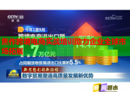 焦作跨境電商實(shí)戰(zhàn)培訓(xùn)助力企業(yè)全球市場拓展