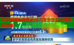 焦作跨境電商實戰(zhàn)培訓(xùn)助力企業(yè)全球市場拓展
