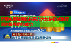 跨境電商培訓(xùn)機(jī)構(gòu)實(shí)力大比拼權(quán)威推薦哪家最強(qiáng)助您成功