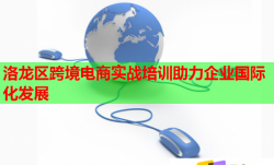 洛龍區(qū)跨境電商實(shí)戰(zhàn)培訓(xùn)助力企業(yè)國(guó)際化發(fā)展
