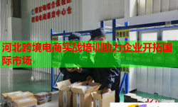 河北跨境電商實戰(zhàn)培訓助力企業(yè)開拓國際市場