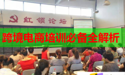 跨境電商培訓(xùn)必備全解析