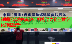 鯉城區(qū)跨境電商培訓(xùn)機(jī)構(gòu)助力企業(yè)數(shù)字化轉(zhuǎn)型提升