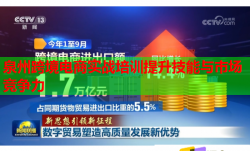 泉州跨境電商實(shí)戰(zhàn)培訓(xùn)提升技能與市場競爭力