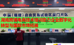 湖南跨境電商技術(shù)培訓(xùn)助力企業(yè)數(shù)字化轉(zhuǎn)型與國際市場拓展
