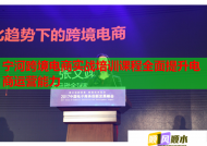 寧河跨境電商實(shí)戰(zhàn)培訓(xùn)課程全面提升電商運(yùn)營(yíng)能力