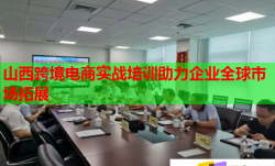 山西跨境電商實戰(zhàn)培訓助力企業(yè)全球市場拓展
