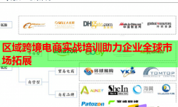 區(qū)域跨境電商實戰(zhàn)培訓(xùn)助力企業(yè)全球市場拓展