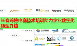 長(zhǎng)春跨境電商技術(shù)培訓(xùn)助力企業(yè)數(shù)字化轉(zhuǎn)型升級(jí)
