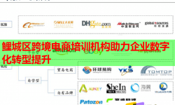 鯉城區(qū)跨境電商培訓機構助力企業(yè)數(shù)字化轉型提升