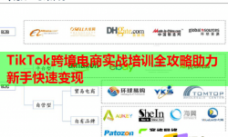 TikTok跨境電商實戰(zhàn)培訓(xùn)全攻略助力新手快速變現(xiàn)