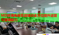 MD跨境電商實戰(zhàn)培訓(xùn)全方位提升運營與營銷能力