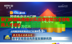 廈門跨境電商培訓(xùn)實(shí)戰(zhàn)課程助力全球電商人才成長