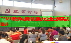 TEMU跨境電商培訓(xùn)助力企業(yè)出海實(shí)戰(zhàn)提升