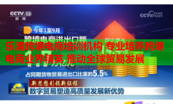 樂(lè)清跨境電商培訓(xùn)機(jī)構(gòu) 專業(yè)培養(yǎng)跨境電商業(yè)界精英 推動(dòng)全球貿(mào)易發(fā)展