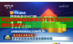 專業(yè)跨境電商精英培訓(xùn)計(jì)劃全方位提升國(guó)際業(yè)務(wù)能力