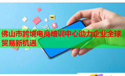 佛山市跨境電商培訓(xùn)中心助力企業(yè)全球貿(mào)易新機(jī)遇