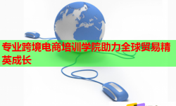 專業(yè)跨境電商培訓(xùn)學(xué)院助力全球貿(mào)易精英成長(zhǎng)