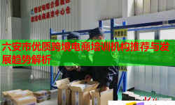 六安市優(yōu)質(zhì)跨境電商培訓(xùn)機(jī)構(gòu)推薦與發(fā)展趨勢(shì)解析