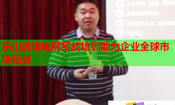 樂山跨境電商實戰(zhàn)培訓(xùn)助力企業(yè)全球市場拓展