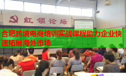 合肥跨境電商培訓(xùn)實戰(zhàn)課程助力企業(yè)快速拓展海外市場
