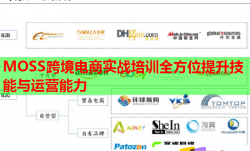 MOSS跨境電商實戰(zhàn)培訓全方位提升技能與運營能力