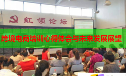跨境電商培訓(xùn)心得體會(huì)與未來發(fā)展展望