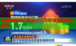 跨境電商培訓(xùn)實(shí)戰(zhàn)技巧與抓捕案例深度解析