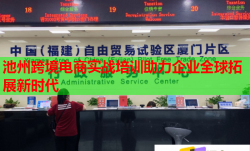 池州跨境電商實(shí)戰(zhàn)培訓(xùn)助力企業(yè)全球拓展新時(shí)代