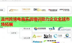 溫州跨境電商實(shí)戰(zhàn)培訓(xùn)助力企業(yè)全球市場(chǎng)拓展
