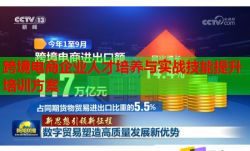 跨境電商企業(yè)人才培養(yǎng)與實戰(zhàn)技能提升培訓(xùn)方案