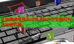 北海跨境電商實(shí)戰(zhàn)培訓(xùn)助力企業(yè)國(guó)際化發(fā)展新機(jī)遇
