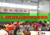 樂清跨境電商培訓(xùn)學(xué)校有哪些