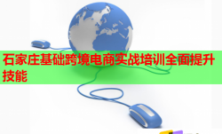 石家莊基礎(chǔ)跨境電商實戰(zhàn)培訓(xùn)全面提升技能