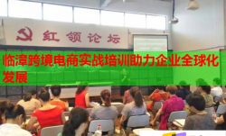 臨漳跨境電商實戰(zhàn)培訓助力企業(yè)全球化發(fā)展