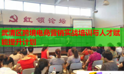 武清區(qū)跨境電商營銷實(shí)戰(zhàn)培訓(xùn)與人才賦能提升計(jì)劃