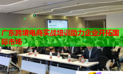 廣東跨境電商實(shí)戰(zhàn)培訓(xùn)助力企業(yè)開拓國(guó)際市場(chǎng)