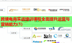 跨境電商實戰(zhàn)培訓(xùn)課程全面提升運營與營銷能力(1)