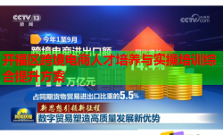 開福區(qū)跨境電商人才培養(yǎng)與實(shí)操培訓(xùn)綜合提升方案